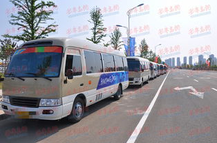 青岛成立首个汽车租赁协会，行业有了“娘家”