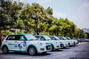 共享经济涨价潮下的反思 共享汽车的美好与挑战